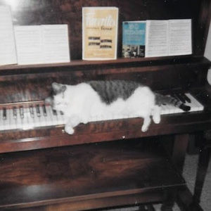 Meet your Posher, Lydia